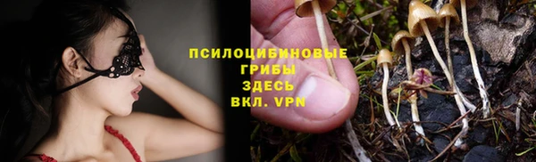 дурь Волосово