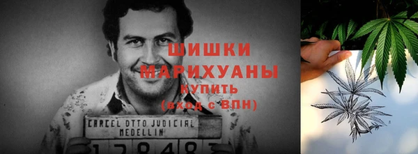 дурь Волосово