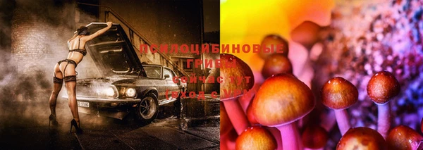 дурь Волосово